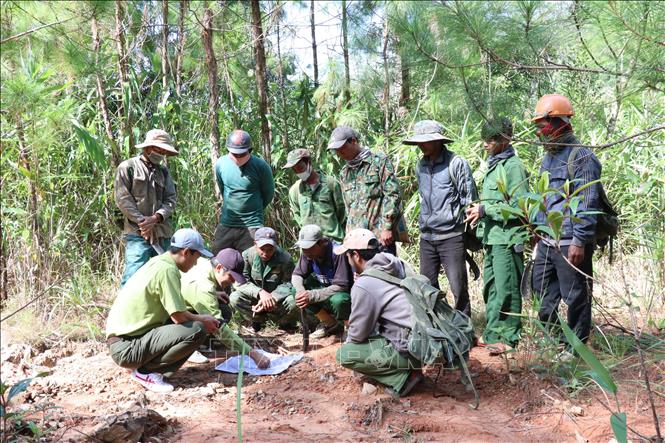Trong ảnh: Cán bộ Kiểm lâm Vườn Quốc gia Chư Yang Sin triển khai phương án tuần tra rừng đến nhóm hộ. Ảnh: Anh Dũng - TTXVN