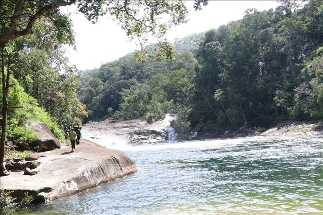 Trong ảnh: Nhóm hộ dân buôn Ja, xã Hòa Sơn, huyện Krông Bông tỉnh Đắk Lắk cùng lực lượng Kiểm lâm Vườn Quốc gia Chư Yang Sin tuần tra rừng. Ảnh: Anh Dũng - TTXVN