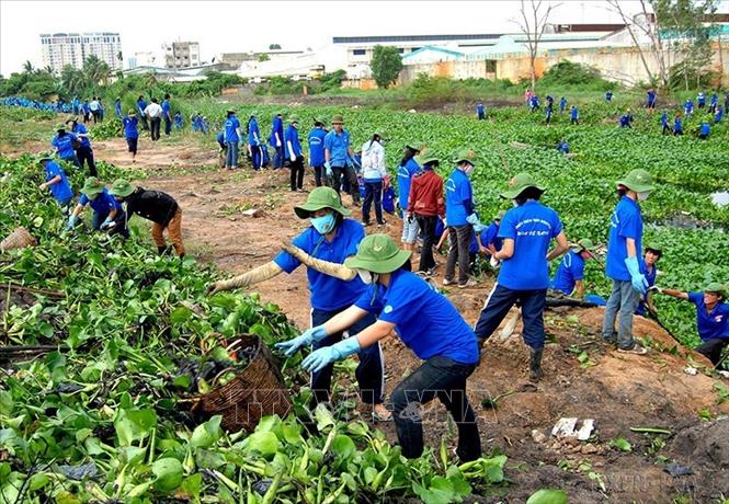 Phong trào “Thanh niên tình nguyện” và các cuộc vận động, phong trào mới được triển khai sâu rộng trong các tổ chức Đoàn đã khơi dậy sức mạnh của thanh niên tham gia các lĩnh vực của đời sống xã hội. Trong ảnh: Thanh niên tình nguyện tham gia vớt bèo, thu gom  rác thải  trên kênh 19/5 tại quận Tân Bình (TP Hồ Chí Minh). Ảnh: Mạnh Linh-TTXVN
