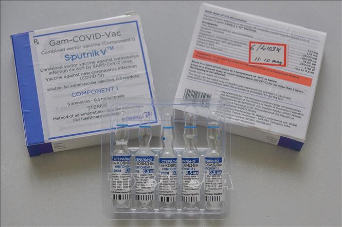 Trong ảnh: Các lọ vaccine phòng COVID-19 Sputnik V tại một bệnh viện ở Bangalore, Ấn Độ ngày 29/6/2021. Ảnh: AFP/TTXVN