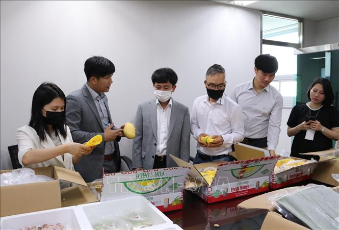 Trong ảnh: Công ty TPS Good Farmers giới thiệu nông sản Việt Nam tại Hàn Quốc. Ảnh: Mạnh Hùng - PV TTXVN tại Hàn Quốc