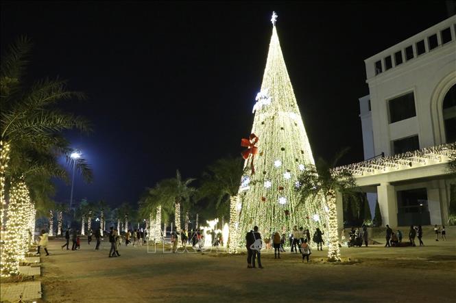 Trong ảnh: Một cây thông Noel kết bằng đèn nhấp nháy hấp dẫn giới trẻ tại thành phố Ninh Bình. Ảnh: Đức Phương - TTXVN