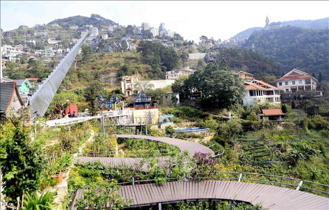 Trong ảnh: Khu Cầu Mây thị trấn Tam Đảo là một trong những địa điểm lý tưởng dành cho du khách muốn ngắm hoa dã quỳ. Ảnh: Hoàng Hùng - TTXVN
