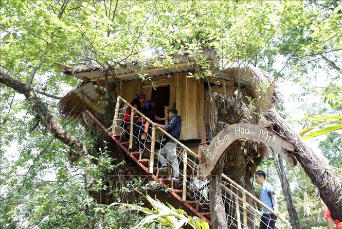 Trong ảnh: Những ngôi nhà 