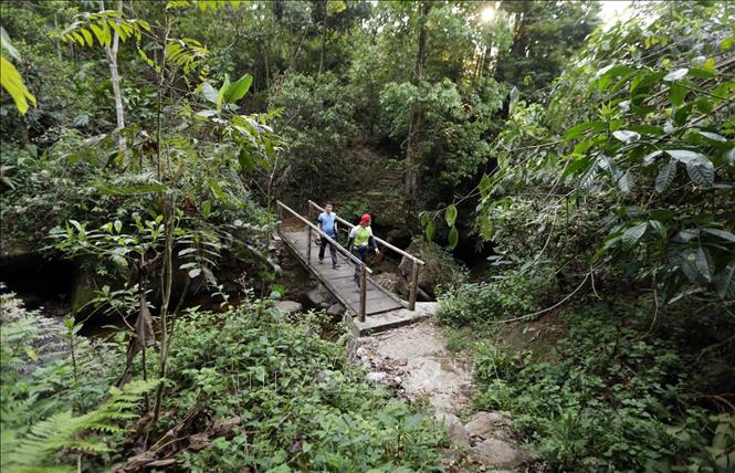 Trong ảnh: Quanh bản được bao bọc bởi khu rừng nguyên sinh tạo nên khung cảnh thiên nhiên hùng vĩ. Ảnh: Quý Trung – TTXVN