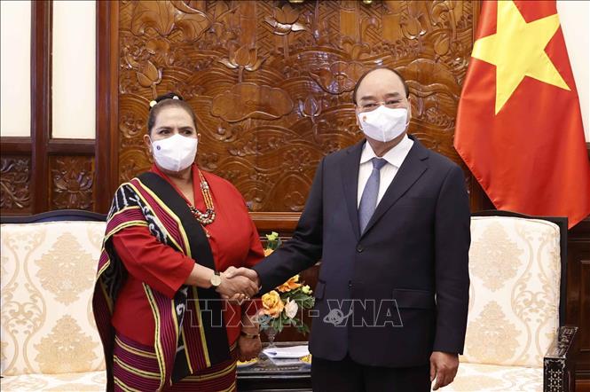 Photo: President Nguyen Xuan Phuc receives Timor Leste Ambassador to Vietnam Olandina Isabel Caeiro Alves. VNA Photo: Thống Nhất