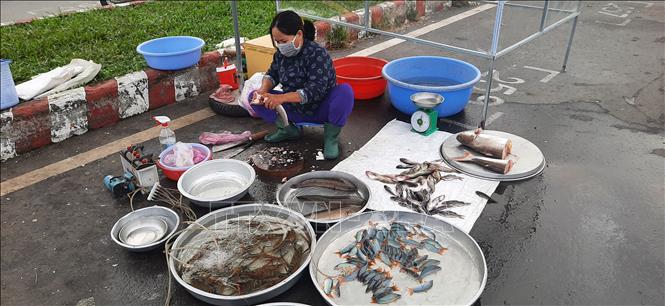 Cá heo bày bán tại chợ thành phố Cao lãnh, tỉnh Đồng Tháp. Ảnh: Nguyễn Văn Trí - TTXVN