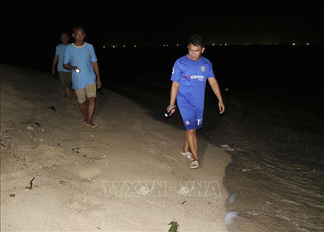 Photo: Members of the turtle conservation team at Nui Chua National Park patrol the beach at night. VNA Photo: Nguyễn Thành
