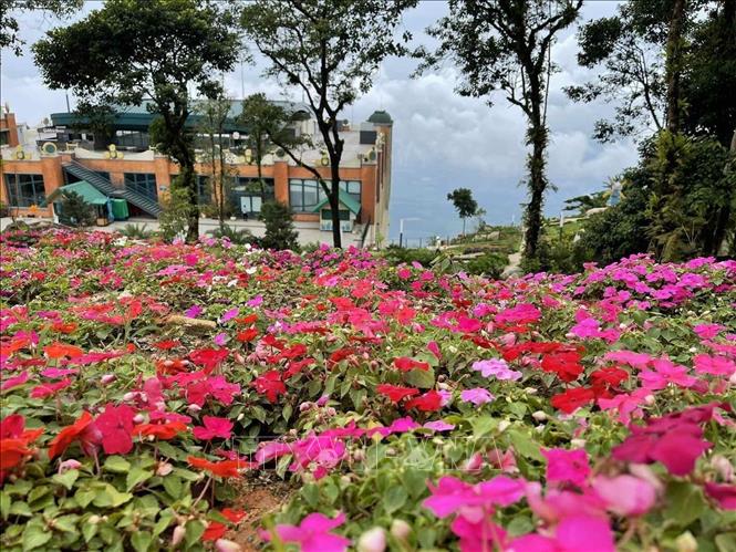 Photo: A corner of the Ba Den Mountain national tourist site. VNA Photo: Thanh Tân