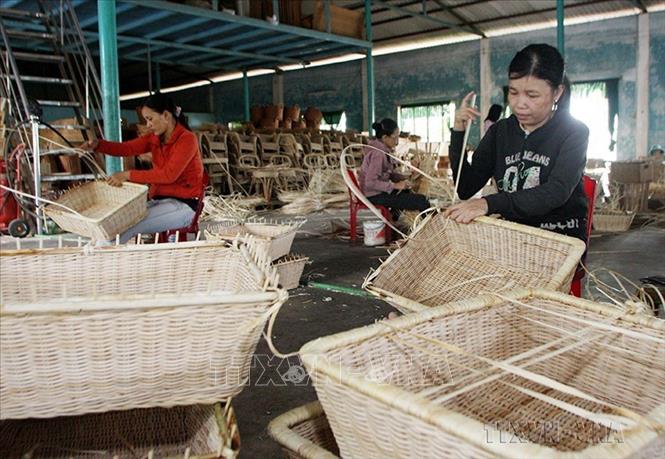 Xí nghiệp Mây tre đan xuất khẩu Âu Cơ, huyện Núi Thành (Quảng Nam) vay vốn ưu đãi từ Chương trình cho vay giải quyết việc làm để mở rộng nhà xưởng, tạo việc làm cho hàng trăm lao động địa phương. Ảnh: Trần Việt - TTXVN