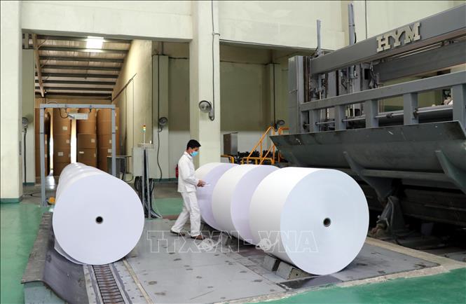 Photo: A production line at the An Hoa Paper JSC in the northern province of Tuyen Quang. VNA Photo: Vũ Quang Đán