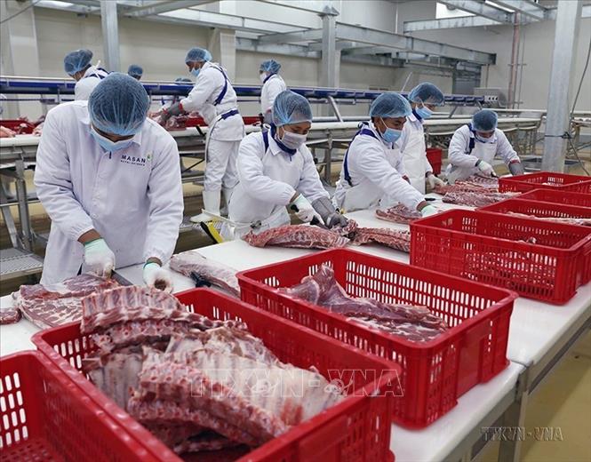 Tập đoàn Masan Nutri – Science Việt Nam đầu tư xây dựng Tổ hợp chế biến thịt lợn tại tỉnh Hà Nam có công suất chế biến khoảng 1,4 triệu con/năm. Dự án có tổng mức đầu tư hơn 1.000 tỷ đồng theo công nghệ của Đan Mạch với các trang thiết bị đủ tiêu chuẩn của cơ quan quản lý thực phẩm và thuốc của Mỹ (FDA). Ảnh: Vũ Sinh - TTXVN