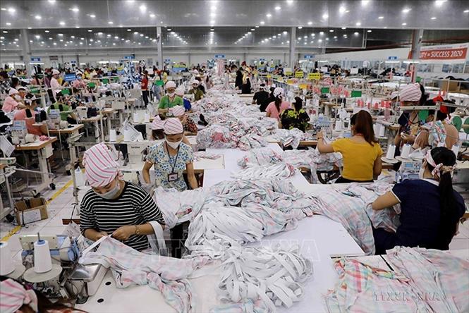 Từ chỗ chỉ có 6 dự án FDI với tổng số vốn 115,6 triệu USD, đến nay tỉnh thu hút 238 dự án đầu tư trực tiếp nước ngoài, vốn đăng ký 2.412 triệu USD. Tính riêng năm 2021, thu hút 12 dự án FDI, vốn đăng ký trên 800 triệu, đưa Phú Thọ xếp thứ 14/63 tỉnh, thành phố về thu hút FDI. Trong ảnh: May gia công hàng dệt kim xuất khẩu sang thị trường Mỹ tại Công ty TNHH Yakjin (KCN Thụy Vân). Ảnh: Vũ Sinh - TTXVN