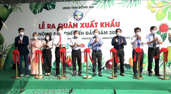 Trong ảnh: Lễ cắt băng ra quân xuất khẩu lô hàng trái cây chế biến khẩu xuất sang thị trường Châu Âu, Hàn Quốc, Nhật Bản, Nga, Trung Đông đầu năm 2022. Ảnh: Nguyễn Văn Việt-TTXVN
