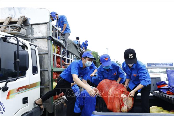 Trong ảnh: Đoàn viên thanh niên Thành đoàn Hà Nội vận chuyển nhu yếu phẩm của Tỉnh đoàn Lào Cai gửi tặng để chuyển đến một số quận, huyện ở Hà Nội đang có điểm nóng về COVID-19. Ảnh: Minh Đức – TTXVN