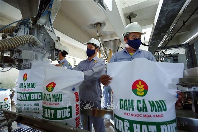 Đóng bao sản phẩm phân đạm tại nhà máy Đạm Cà Mau. Ảnh: Huy Hùng – TTXVN
