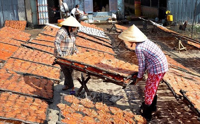 Thị trấn Cái Đôi Vàm, huyện Phú Tân có làng nghề làm khô cá truyền thống của tỉnh Cà Mau, giải quyết việc làm cho hàng trăm lao động. Ảnh: Huỳnh Thế Anh-TTXVN