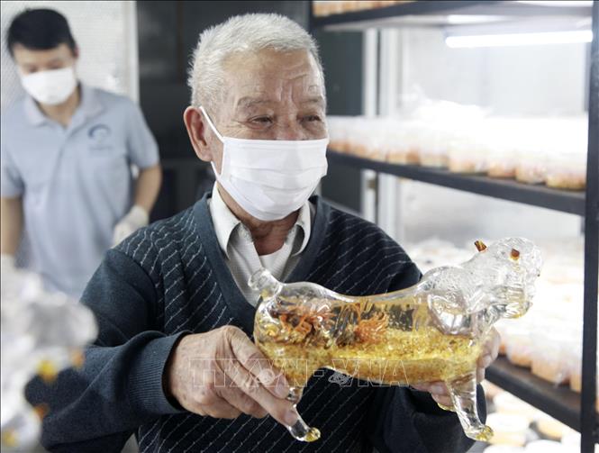 Trong ảnh: Khách hàng trực tiếp đến công ty tham quan và đặt mua bình rượu độc, lạ này. Ảnh: Lê Ngọc Phước- TTXVN

