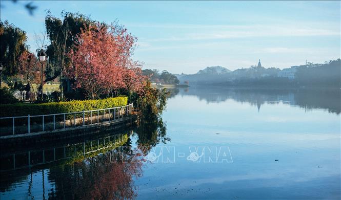 Photo: In the heart of Da Lat lies Xuan Huong Lake, its name meaning “Spring Scent” due to its legend of having special scent only in springtime. VNA Photo: Nguyễn Dũng 
