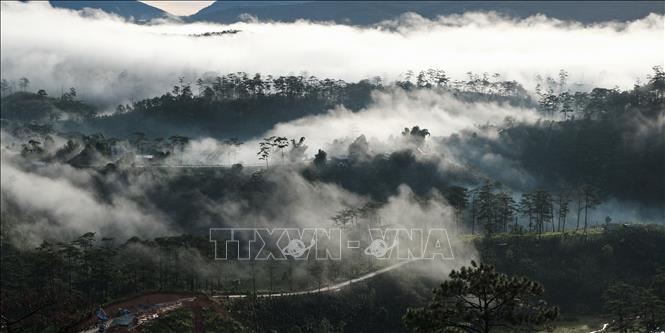 Photo: Surrounding Da Lat city is forest with early morning clouds, which has become a new favourite for young travellers to the Central Highlands city. VNA Photo: Nguyễn Dũng 
