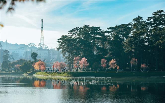 Photo: In the heart of Da Lat lies Xuan Huong Lake, its name meaning “Spring Scent” due to its legend of having special scent only in springtime. VNA Photo: Nguyễn Dũng 
