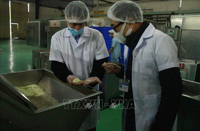 Trong ảnh: Đoàn kiểm tra liên ngành về an toàn thực phẩm tỉnh Ninh Bình kiểm tra tại các cơ sở sản xuất, chế biến, kinh doanh tại huyện Gia Viễn, tỉnh Ninh Bình. Ảnh: Hải Yến-TTXVN