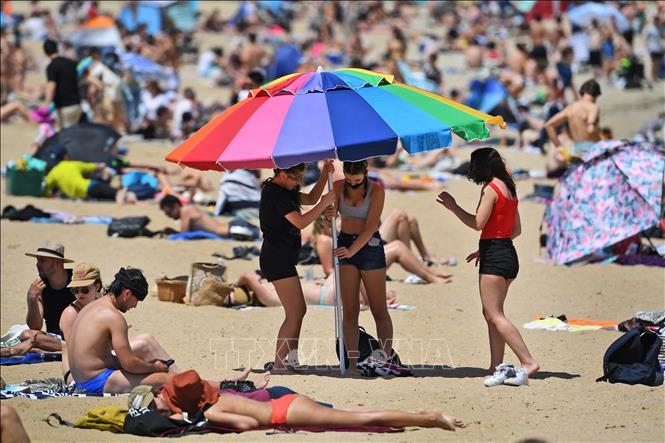 Trong ảnh (tư liệu): Người dân tắm nắng trên bãi biển tại Melbourne, Australia. Ảnh: AFP/ TTXVN