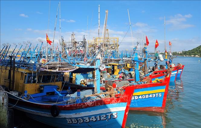 Trong ảnh: Tàu thuyền neo đậu tại cảng cá Đề Gi (Phù Cát, Bình Định). Ảnh: Tường Quân - TTXVN