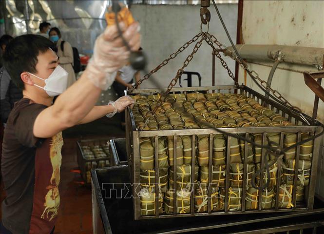 Trong ảnh: Vào những ngày gần Tết, mỗi gia đình trong làng nghề làm khoảng 1.000 đến 2000 chiếc bánh chưng nhiều loại. Ảnh: Vũ Sinh – TTXVN