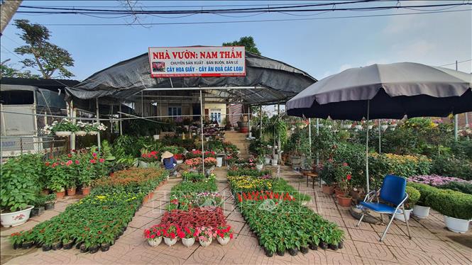 Trong ảnh: Cửa hành kinh doanh hoa, cây cảnh tại thị trấn Hợp Châu, huyện Tam Đảo vắng người mua. Ảnh: Nguyễn Trọng Lịch- TTXVN