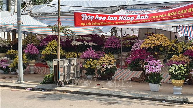 Trong ảnh: Cảnh đìu hiu tại Shop hoa lan Hồng Anh sau siêu thị Coopmart (thành phố Vĩnh Yên). Ảnh: Nguyễn Trọng Lịch- TTXVN