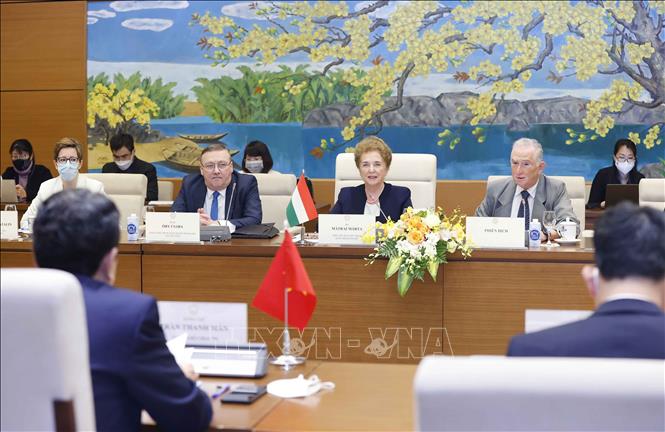 Phó Chủ tịch thứ nhất Quốc hội Hungary Márta Mátrai phát biểu. Ảnh: Doãn Tấn - TTXVN