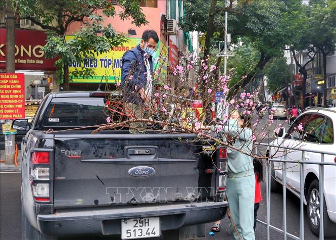 Một gia đình chọn cho mình cành đào ưng ý. Ảnh: Tuấn Đức - TTXVN