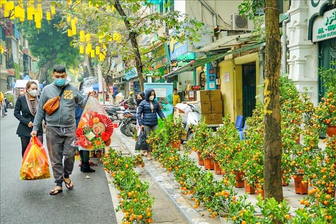 Chợ hoa Hàng Lược ngày đầu hoạt động. Ảnh: Tuấn Đức - TTXVN