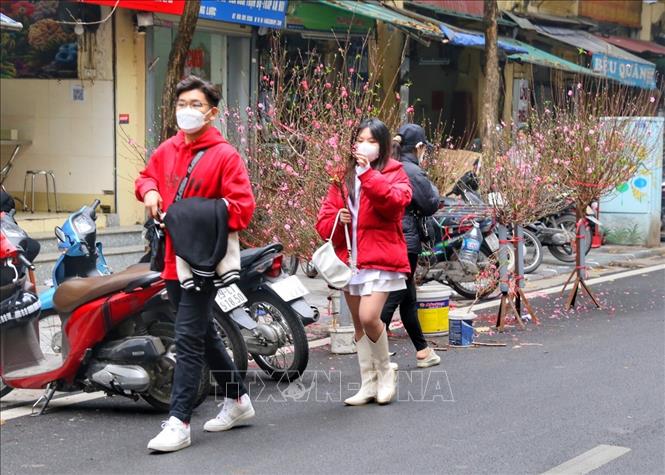 Người dân chọn mua đào đón Xuân Nhâm Dần 2022. Ảnh: Tuấn Đức - TTXVN