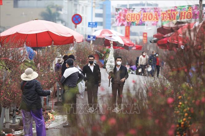 Photo: A corner of the famous Quang Ba flower market in Hanoi. VNA Photo