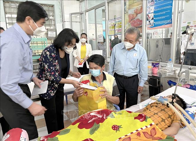 Trong ảnh: Nguyên Phó Chủ tịch nước Đặng Thị Ngọc Thịnh hỏi thăm và tặng quà Tết cho gia đình bệnh nhi đang điều trị tại Bệnh viện Đa khoa Bình Định. Ảnh: Nguyên Linh-TTXVN