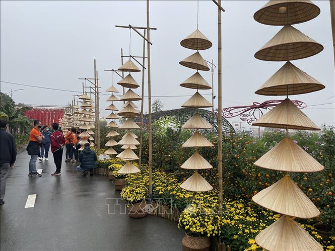 Không gian đường hoa Xuân 