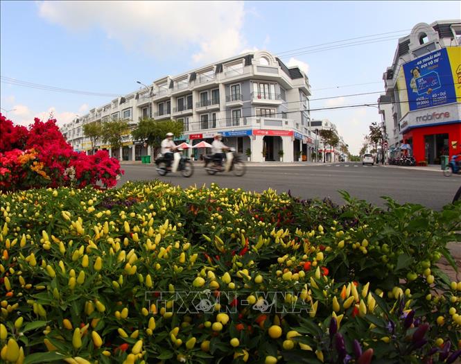 Trong ảnh: Khu chợ hoa phục vụ Tết tại đường Trần Hưng Đạo, thành phố Vị Thanh vắng bóng người mua. Ảnh: Duy Khương TTXVN 