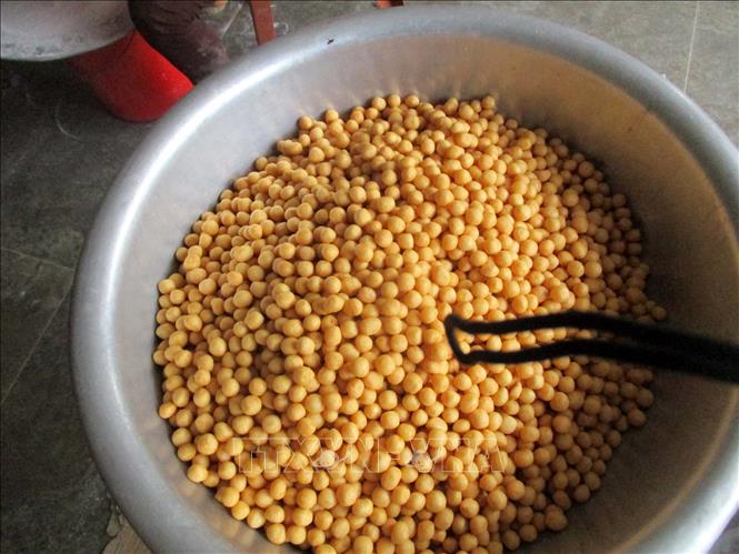 Trong ảnh: Kẹo nhãn Lang Chánh mới sản xuất xong. Ảnh: Nguyễn Nam-TTXVN