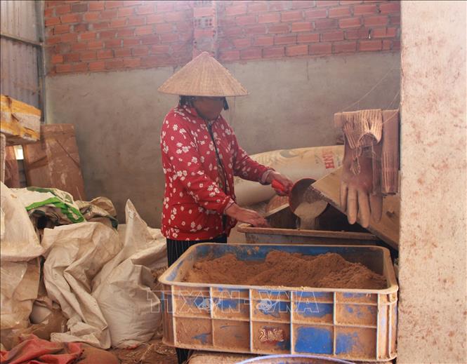 Trong ảnh: Công đoạn pha trộn nguyên liệu làm nhang là bí quyết riêng của từng hộ làm nghề Phong Ấp, không có nhang hộ nào giống hộ nào. Ảnh: Phan Sáu - TTXVN 