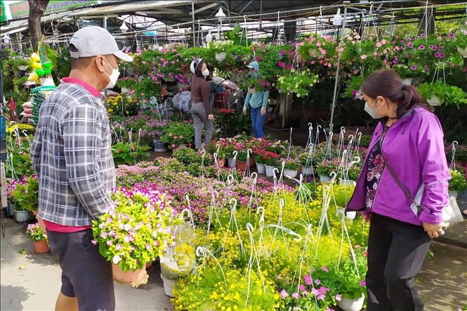 Trong ảnh: Điểm bán hoa trên đường Nguyễn Đình Tựu (Đà Nẵng). Ảnh: Trần Lê Lâm - TTXVN
