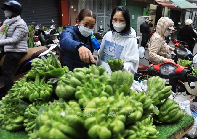 Quả Phật thủ - loại quả không thể thiếu trên mâm ngũ quả ngày Tết, được bày bán tại chợ Hàng Bè sáng 31/1/2022 (29 tháng Chạp năm Tân Sửu). Ảnh: Hoàng Hiếu - TTXVN 