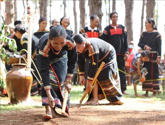 Photo: Ede women poke holes in the ground as part of the rituals. VNA Photo: Dương Giang