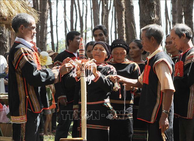 Photo: Ede men prepare offerings to god as part of the rituals. VNA Photo: Dương Giang