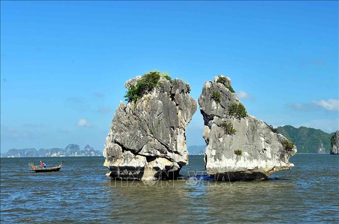 Trong ảnh: Hòn Gà Chọi hay còn gọi là Hòn Trống Mái, nằm ở phía tây nam của vịnh Hạ Long trở thành một trong những biểu tượng của vịnh Hạ Long nói riêng và du lịch Việt Nam nói chung.Ảnh: Minh Đức - TTXVN