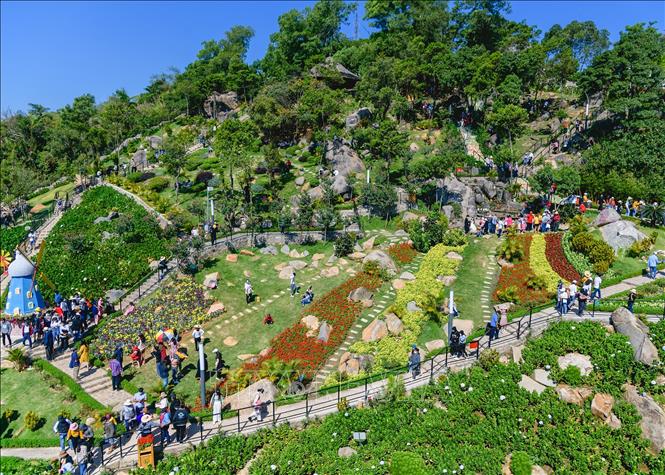 Đỉnh núi Bà đen được trồng bao phủ kín các hoa. Ảnh: Thanh Tân - TTXVN