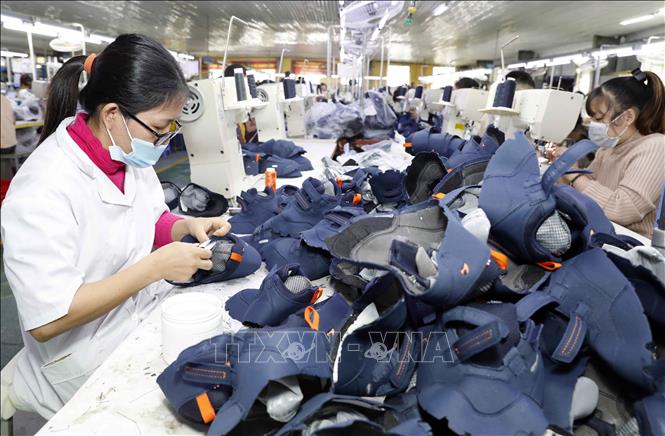 Trong ảnh: May mũ giầy thể thao tại Công ty Trường Xuân thuộc Công ty TNHH Hoá dệt Hà Tây. Ảnh: Trần Việt - TTXVN