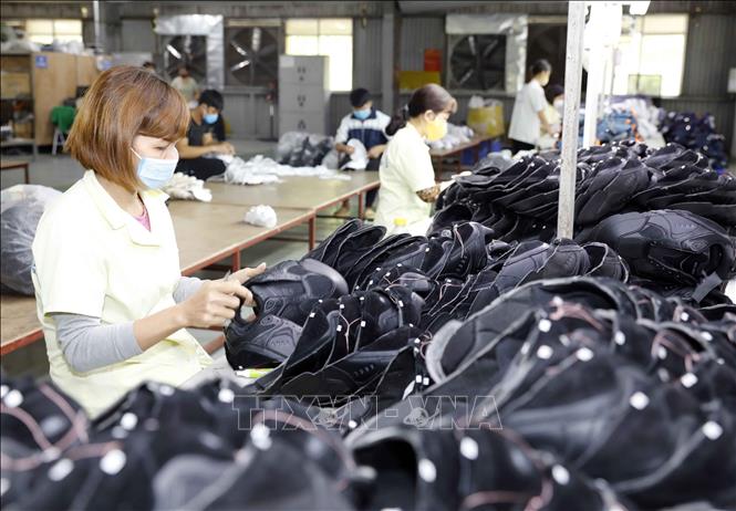 Trong ảnh: Sản xuất giầy thể thao xuất khẩu tại Công ty Trường Xuân thuộc Công ty TNHH Hoá dệt Hà Tây. Ảnh: Trần Việt - TTXVN