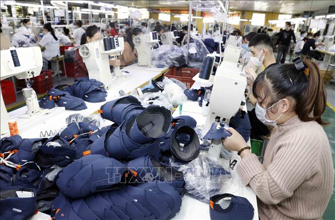 Trong ảnh: May mũ giầy thể thao tại Công ty Trường Xuân thuộc Công ty TNHH Hoá dệt Hà Tây. Ảnh: Trần Việt - TTXVN